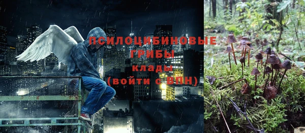 трава Сосновоборск