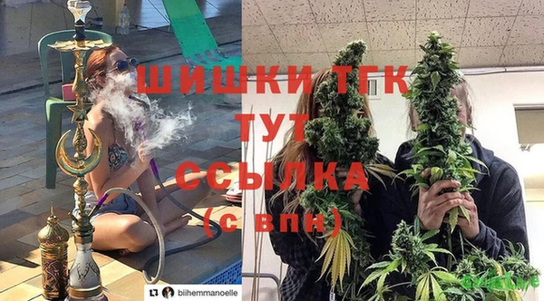 соль курить ск Богданович